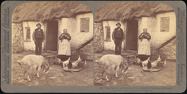 [Group of 107 Stereograph Views of Animals]