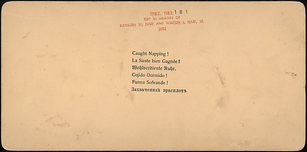 [Group of 107 Stereograph Views of Animals]