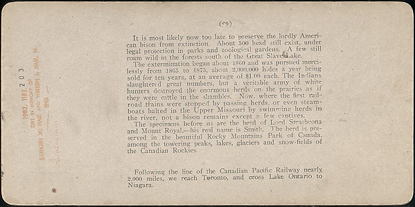 [Group of 107 Stereograph Views of Animals]