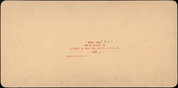 [Group of 28 Stereograph Views of Children]