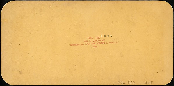 [Group of 13 Stereograph Views of Families and Children]