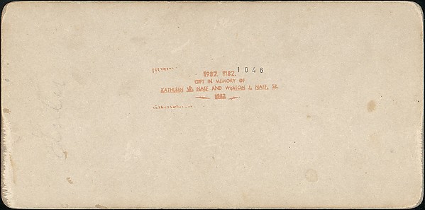 [Group of 31 Stereograph Views of Children With Animals]