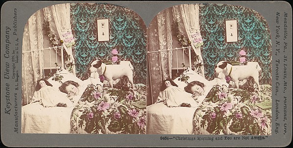 [Group of 42 Stereograph Views From the London Stereoscopic Company, 1860-1870, Many Hand-Colored to Illustrate Books]