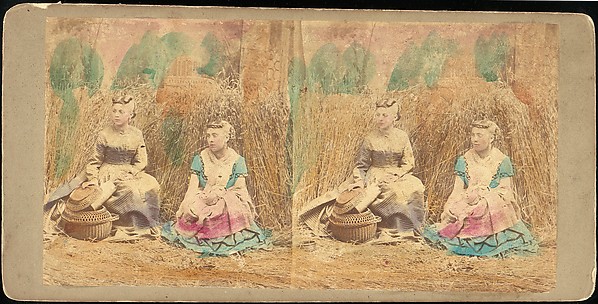 [Group of 250 Stereograph Views From the London Stereoscopic Company, 1860-1870, Many Hand-Colored to Illustrate Books]
