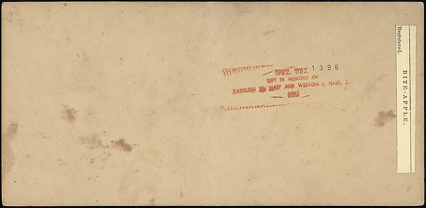 [Group of 250 Stereograph Views From the London Stereoscopic Company, 1860-1870, Many Hand-Colored to Illustrate Books]