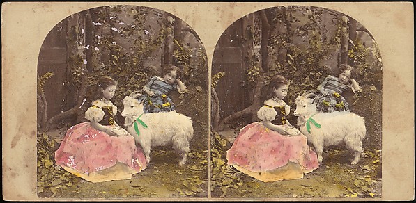 [Group of 42 Stereograph Views From the London Stereoscopic Company, 1860-1870, Many Hand-Colored to Illustrate Books]