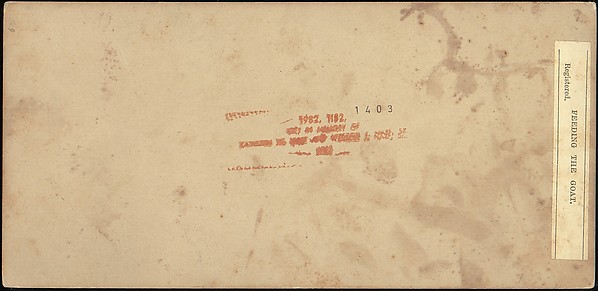 [Group of 42 Stereograph Views From the London Stereoscopic Company, 1860-1870, Many Hand-Colored to Illustrate Books]
