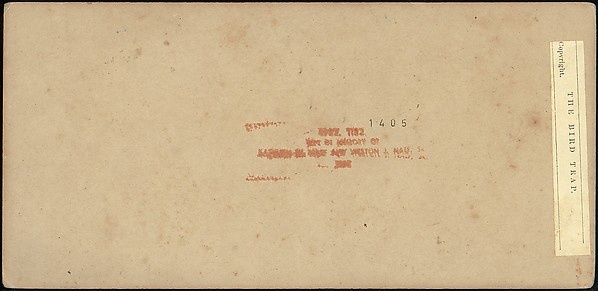 [Group of 42 Stereograph Views From the London Stereoscopic Company, 1860-1870, Many Hand-Colored to Illustrate Books]