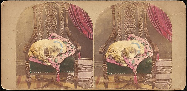 [Group of 42 Stereograph Views From the London Stereoscopic Company, 1860-1870, Many Hand-Colored to Illustrate Books]