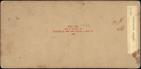 [Group of 42 Stereograph Views From the London Stereoscopic Company, 1860-1870, Many Hand-Colored to Illustrate Books]