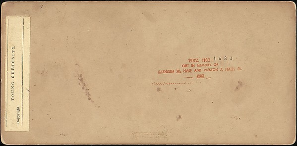 [Group of 42 Stereograph Views From the London Stereoscopic Company, 1860-1870, Many Hand-Colored to Illustrate Books]