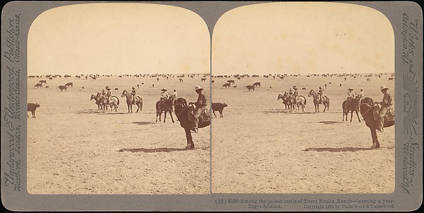 [Group of 48 Stereograph Views of Arizona and the Surrounding Area]