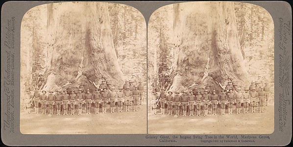 [Group of 100 Stereograph Views of California Nature and Landscapes With a Focus on Yosemite]
