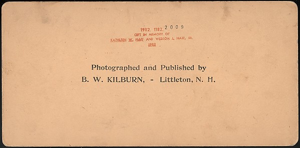 [Group of 66 Stereograph Views of the 1893 Chicago World's Fair and Columbian Exposition]