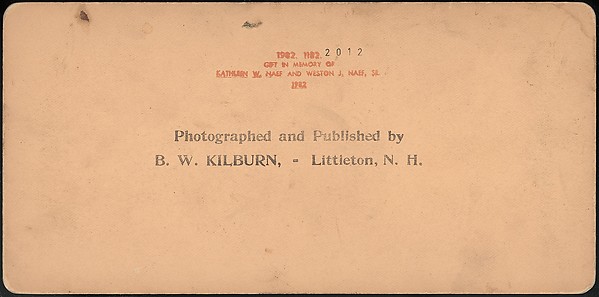 [Group of 66 Stereograph Views of the 1893 Chicago World's Fair and Columbian Exposition]