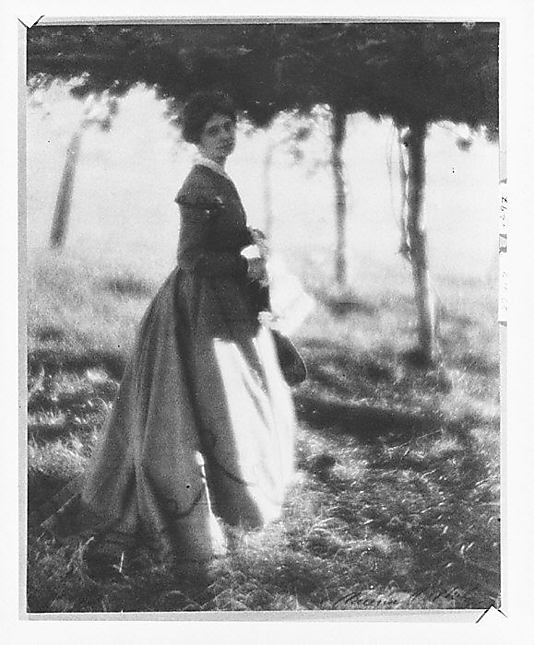 In the Arbor
