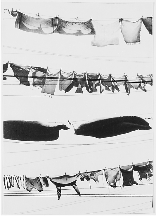 Wash Day
