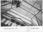 Glass Facade
