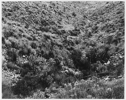 Brewster County, Texas