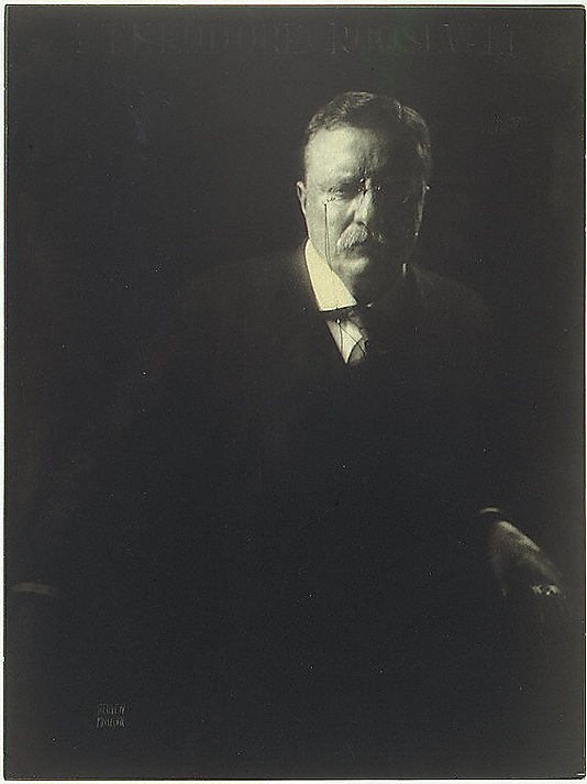 Theodore Roosevelt