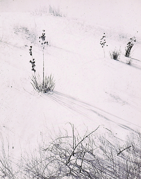 White Sands National Monument, New Mexico