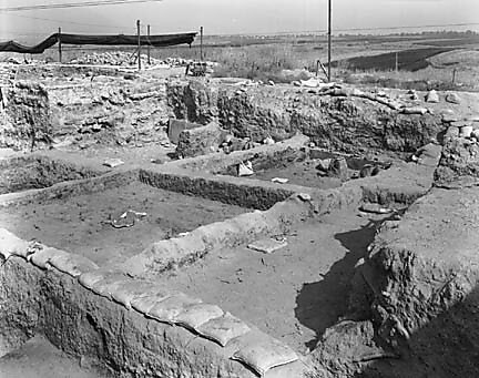 Hebrew University of Jerusalem, Hatzor Excavation. Shore Negative #38