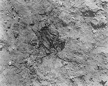 Hebrew University of Jerusalem, Hatzor Excavation. Shore Negative #34