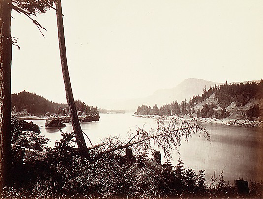 View on the Columbia, Cascades