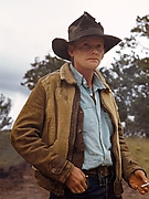 Ann Hesse, Homesteader