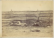 View in the Field, On the West Side of the Hagerstown Road, After the Battle of Antietam, Maryland, September 1862