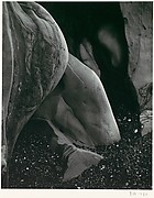 Rock Erosion, Point Lobos