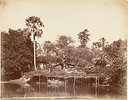 View in the Jungle, Bengal