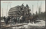 Logging near Antigo, Wis.