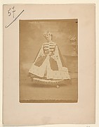 L'hermine