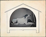 [Dog]