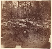 The Wilderness Battlefield