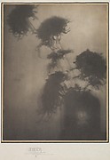 The Shadows on the Wall. "Chrysanthemums"