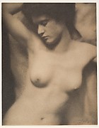 Torso