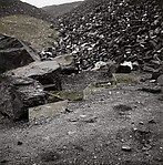 Untitled (Zig-Zag Mirror Displacement)