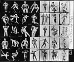 [Advertising Contact Sheet of Male Models in Various Poses]