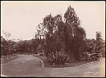 Botanical Garden