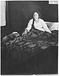 Morning - The Coverlet