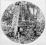 [Man in Forest Beside Bridge-covered Creek]