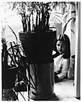 [Young Girl Behind Potted Palm]