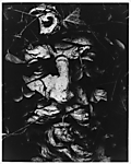 [Ivy Covering Face of Statue]