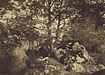 [Oak Tree and Rocks, Forest of Fontainebleau]