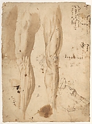 Studies of the Leg of a Man and a Horse's Head