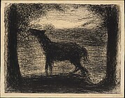 Foal (Le Poulain) [also called 