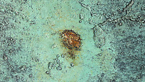 Cannon (Bastard Culverin) Made for Henry II, King of France, Bronze, French