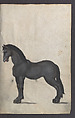 Illustrated Manuscript Inventory of an Armory for Sale by Lottery, Vellum, German